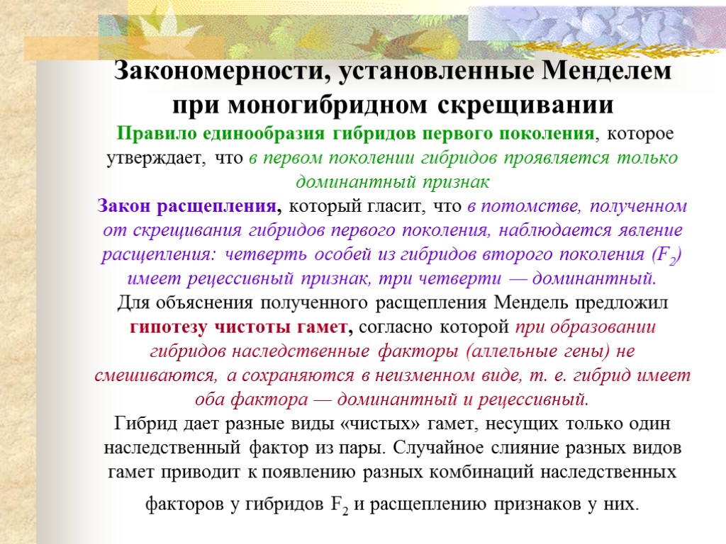 Закономерности, установленные Менделем при моногибридном скрещивании Правило единообразия гибридов первого поколения, которое утверждает, что